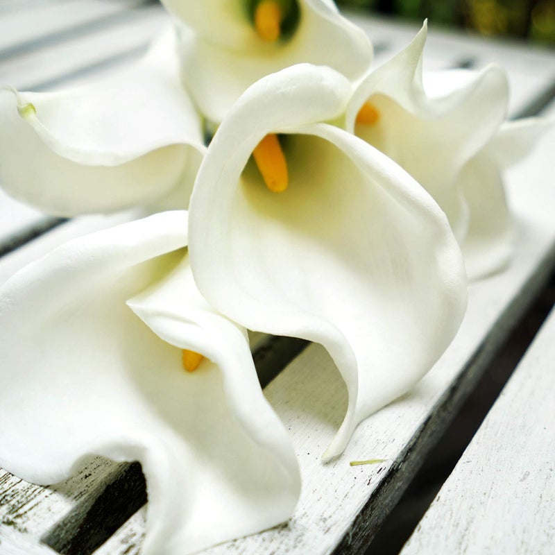 FiveSeasonStuff Real Touch Calla Lily Artificial Flowers, Wedding Bridal Floral Arrangements (25'' 6 Long Stems, Spring White) - Image 5